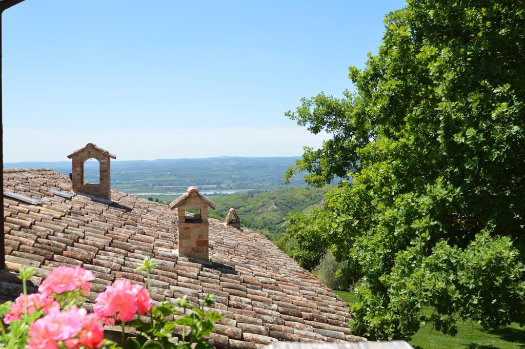 Luxury Villa Colle Dell'Asinello ,Proprietari ,Villa In Esclusiva Near Orvieto Guardea Ngoại thất bức ảnh