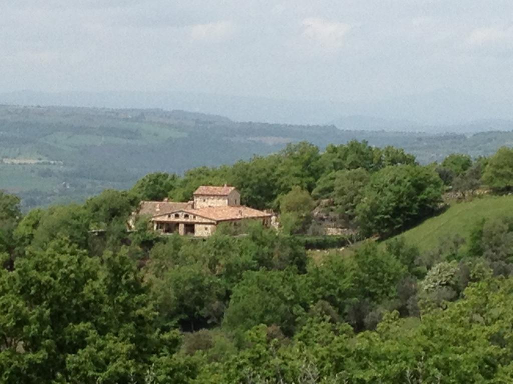 Luxury Villa Colle Dell'Asinello ,Proprietari ,Villa In Esclusiva Near Orvieto Guardea Phòng bức ảnh